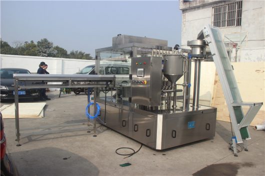 02 ZLD-6A Automatic spout pouch filling capping machine from JOYGOAL to Jordan